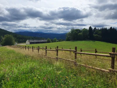 Dvůr Altrichter - pastures