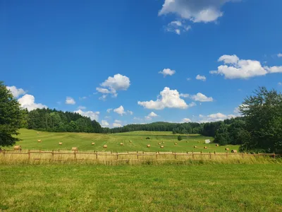 Dvůr Altrichter - pastures