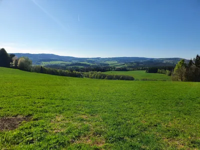 Dvůr Altrichter - pastures