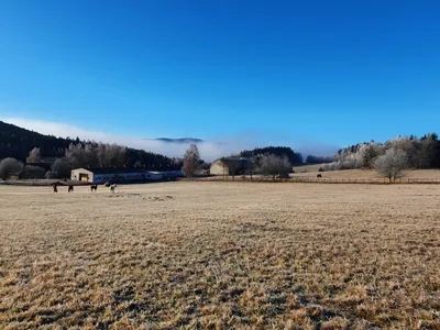 Dvůr Altrichter - pastures