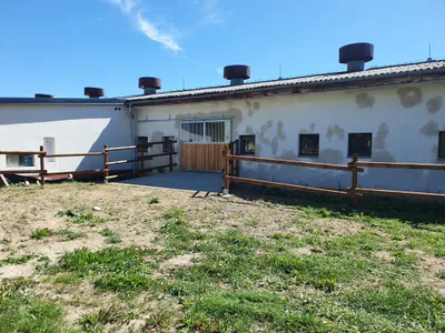 Dvůr Altrichter - stables