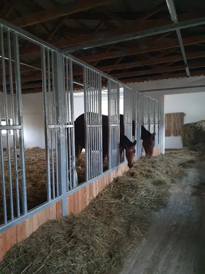 Dvůr Altrichter - stables
