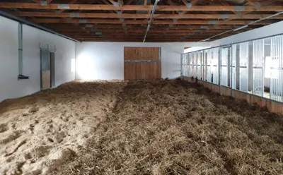 Dvůr Altrichter - stables