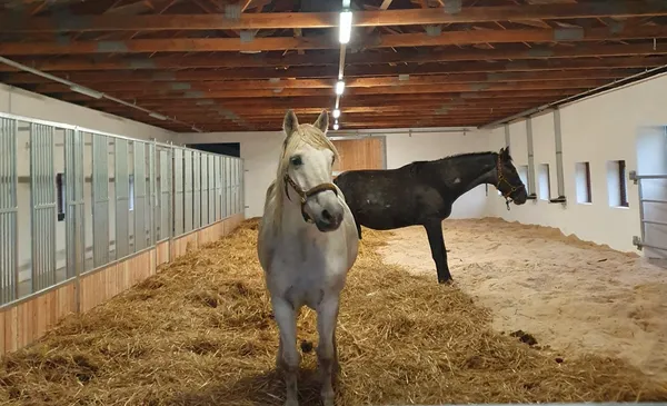 Stáje a zázemí farmy