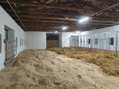 Dvůr Altrichter - stables